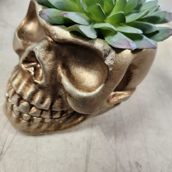 Flora Bunda Faux Succulent in 5X4 Cement Skull, GOLDEN | EZ Auction