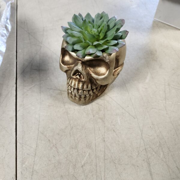 Flora Bunda Faux Succulent in 5X4 Cement Skull, GOLDEN | EZ Auction