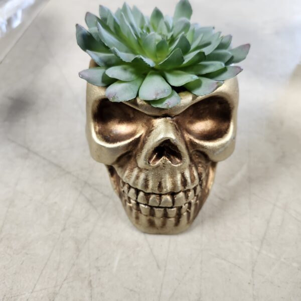 Flora Bunda Faux Succulent in 5X4 Cement Skull, GOLDEN | EZ Auction