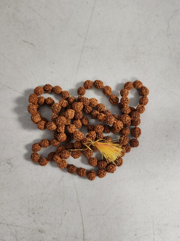 Rudraksha Japa Mala 108 + 1 Beads prayer Wearing Jaap Chanting or Pooja Bead Original & Natural Mala | EZ Auction