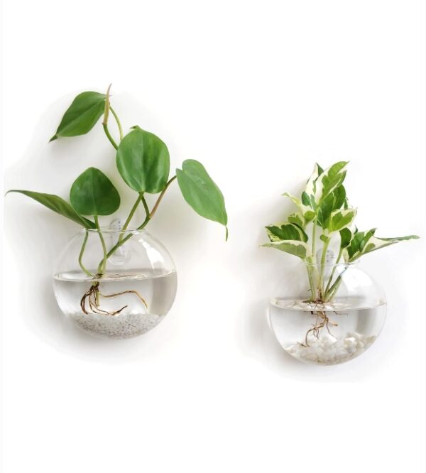 Mkono Wall Hanging Glass Terrariums Planter Oblate Flower Vase for Hydroponics Plants, Bathroom, Home Office Living Room Decor, Set of 2 | EZ Auction