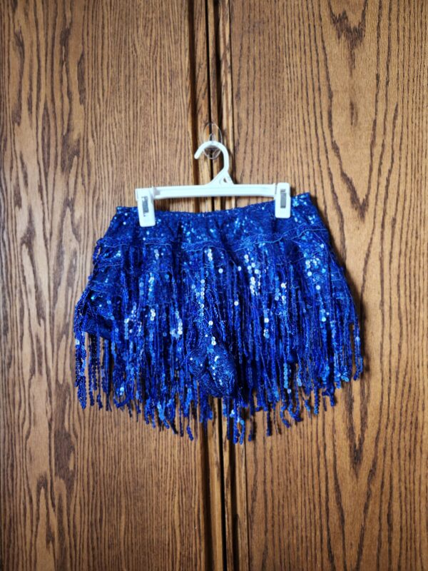 ***Small***Women's Sequin Tassel Skirts Rave Fringe Hip Scarf for Festival | EZ Auction