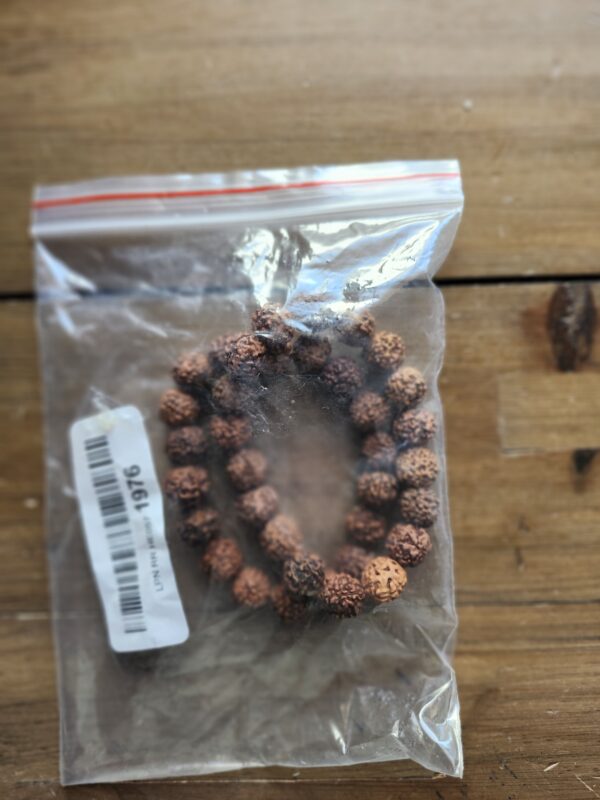 NAISHA Rudraksha & Crystal Sphatik Bead Bracelet, & Natural Himalaya Rudraksh Seed Bracelets | EZ Auction