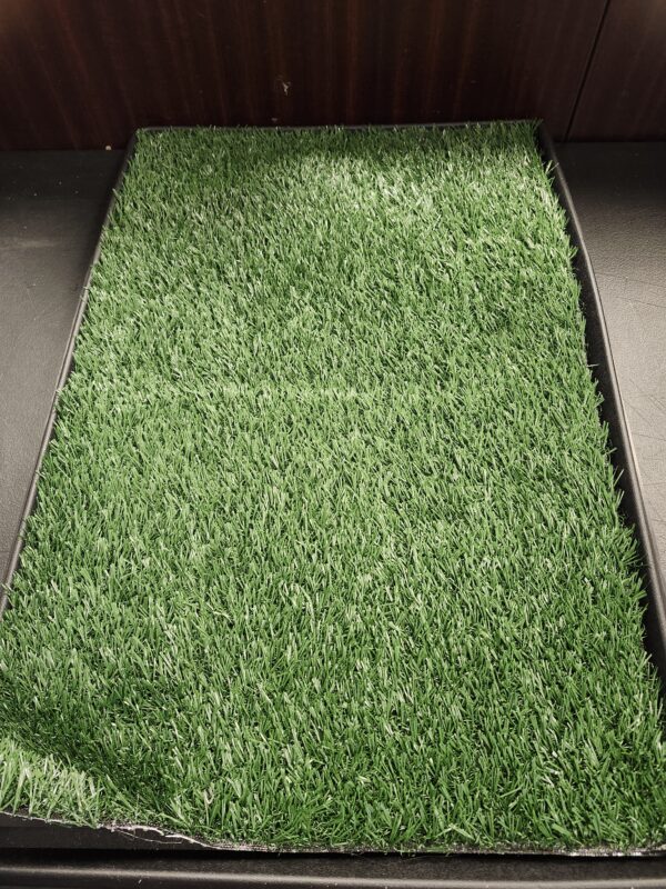 Artificial Grass Puppy Pee Pad for Dogs and Small Pets - 20x25 Reusable 3-Layer Training Potty Pad with Tray - Dog Housebreaking Supplies by PETMAKER | EZ Auction