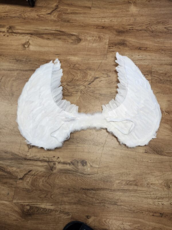 PGXT Halloween Party Costumes Feather Angel Wing | EZ Auction