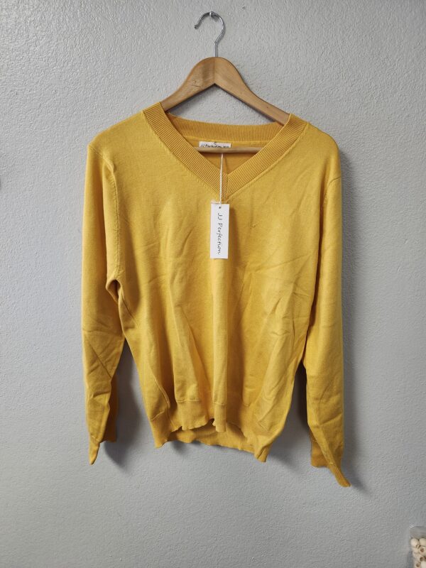 *** XL***Women's V-Neck Long Sleeve Solid Basic Soft Stretch Pullover Knit Sweater | EZ Auction