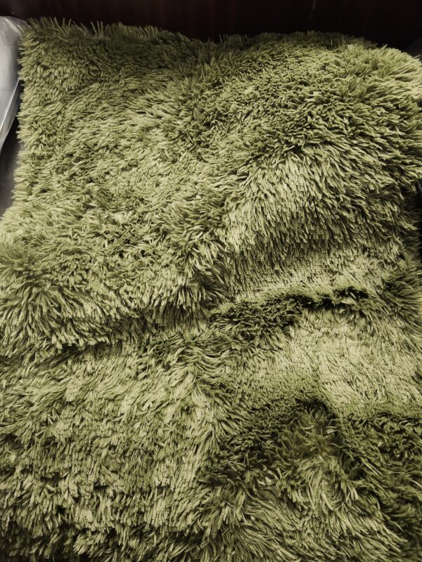 Merelax Soft Modern Indoor Large Shaggy Rug for Livingroom Bedroom Dorm Kids Room Home Decorative, Non-Slip Plush Fluffy Furry Fur Area Rugs Comfy Nursery Accent Floor Carpet 3x5 Feet, Green | EZ Auction