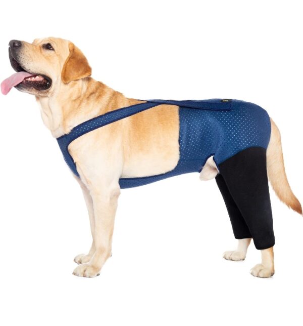 SIZE S* Coodeo Dog Recovery Suit, Cone Collar Alternative, Abrasion Resistant Dog Recovery Rear Sleeves, Washable 2.5mm Thick and Waterproof, Pet Wounds Prevent Licking, Biting | EZ Auction