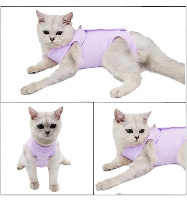 Cat Recovery Suit for Abdominal Wounds or Skin Diseases, Breathable E-Collar Alternative for Cats and Dogs, After Surgery Wear Anti Licking Wounds - Neck with Elastic Band | EZ Auction