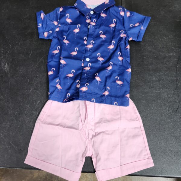 VISGOGO Toddler Baby Boy Flamingo Short Sleeve Button Down Shirt & Casual Shorts Set Summer Outfits 1-6 Years Clothes | EZ Auction