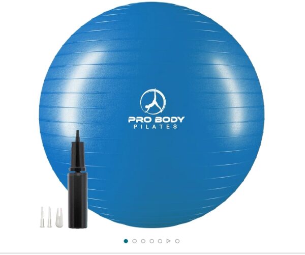 SIZE 45 CM ProBody Pilates Ball Exercise Ball Yoga Ball, Multiple Sizes Stability Ball Chair, Large Gym Grade Birthing Ball for Pregnancy, Fitness, Balance, Workout and Physical Therapy w/Pump | EZ Auction