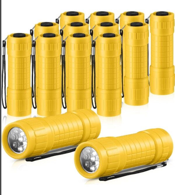 12 Pack Mini Flashlights Bulk for Kids Small Handheld LED Flashlights Torches with Lanyard for Emergency, Goody Bags, Party Favors, Night Reading, Camping,(Yellow) | EZ Auction