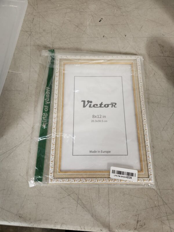 VictoR picture frame Chagall 8x12 beige gold frame, vintage antique frames with shutterprrof acrylic glass, baroque/antique | EZ Auction