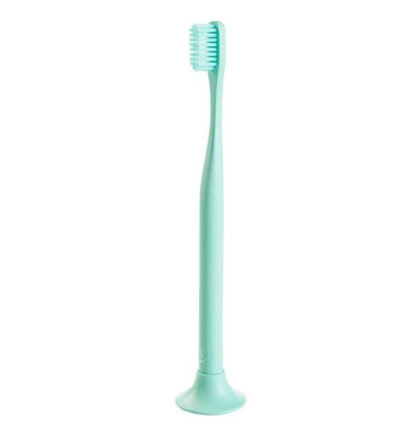 Bogobrush Reusable Toothbrush and Stand Made with Reusable Material and Soft Nylon Bristles in Mint Green | EZ Auction