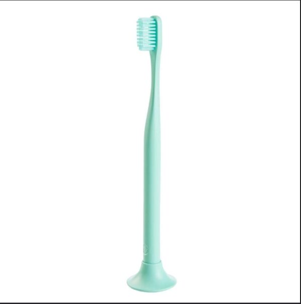 Bogobrush Reusable Toothbrush and Stand Made with Reusable Material and Soft Nylon Bristles in Mint Green | EZ Auction