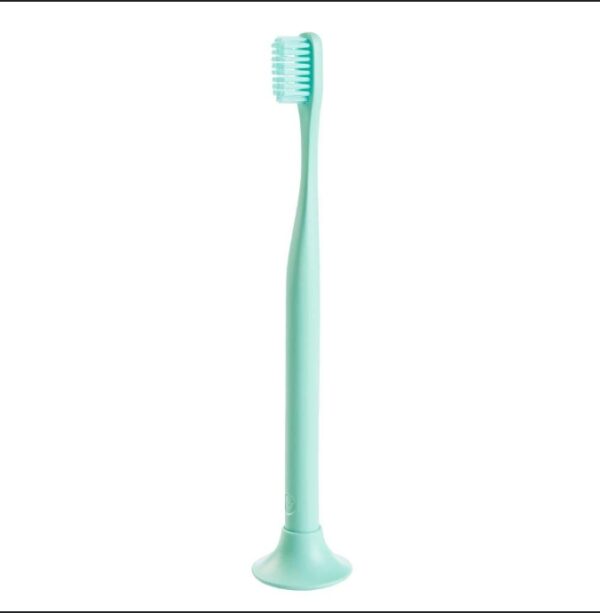 Bogobrush Reusable Toothbrush and Stand Made with Reusable Material and Soft Nylon Bristles in Mint Green | EZ Auction