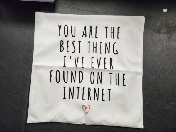 You Are The Best Thing I've Ever Found On The Internet Throw Pillow Covers Decorate Girlfriend Boyfriend Room,18x18 Inch Pillowcase,Gifts For Long Distance Relationship Girlfriend Boyfriend Couple | EZ Auction