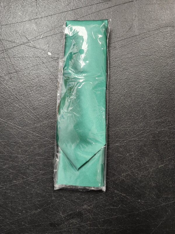 Mens Satin Silk Thin Tie - Sea Green | EZ Auction