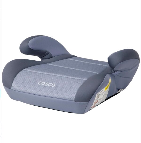 Cosco Topside Booster Car Seat, Extra-Plush pad, Organic Waves | EZ Auction
