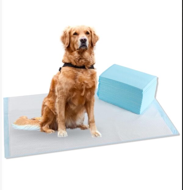 CALPALMY (50-Pack) Pet Training Pee Pads Extra Large 24"x36", Ultra Absorbent Pee Pads for Dog and Puppy, Leak-Proof Moisture Locking Technology Disposable Pet Pads for Puppies, Dogs, Cats, Rabbits | EZ Auction