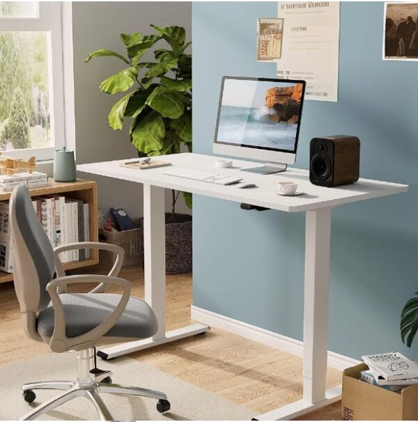 Standing Desk Whole Piece 48 x 24 Inch Desktop Adjustable mechanic (It's not electric) Height mechanicDesk Home Office Computer Workstation Sit Stand up Desk (White Frame + White Top) | EZ Auction