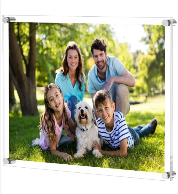 NIUBEE Clear Acrylic Wall Mount Floating Frameless Picture Frame Up to 18x24 Photo for Poster Photography Frames-Double Panel(Full Frame is 20.5x26.5 inch) | EZ Auction