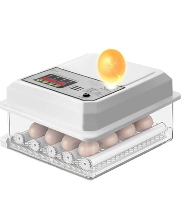 Egg Incubator 16 Eggs, Egg Incubators with Automatic Egg Turning and Humidity Control for Hatching Chicken Duck Quail Bird Eggs (B 16 Eggs) | EZ Auction