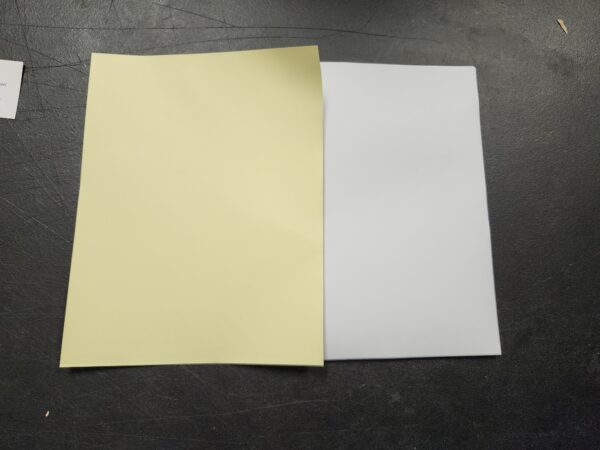 "Plain" Collated Color Paper (Not Carbonless) for Laser and Ink Jet Printers (Pack of 25 2 Part) | EZ Auction