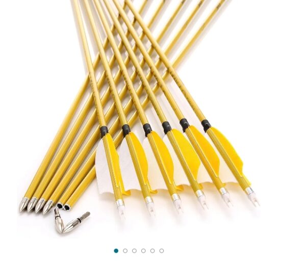 30" Carbon Feather Arrows Practice Hunting Arrows Spine 300 340 400 500 600 700 800 for Recurve Bow & Compound Bow (12 pcs) | EZ Auction