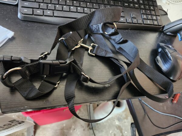 Black Kitten Harness and Lead Set, Small | EZ Auction