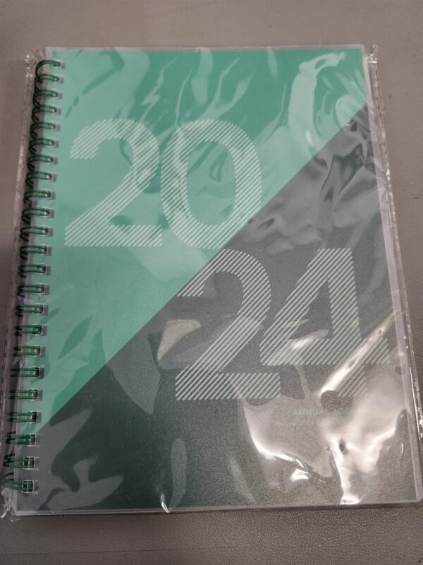 Rileys 2024 Planner - Day Planner 2024 Daily Weekly & Monthly, Flexible Cover, Notes Pages, Twin-Wire Spiral Binding, Agenda Planner, Geographic (8 x 6 inches, Green) | EZ Auction