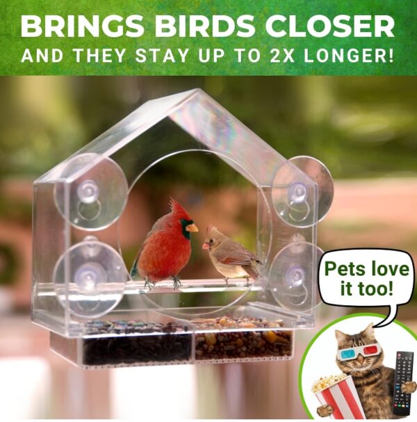 Nature Anywhere Transparent Acrylic Window Bird Feeders for Outdoors - Enhanced Suction Grip, Bird Watching for Cats, Easy-to-Clean, Outdoor Birdhouse Feeder | EZ Auction