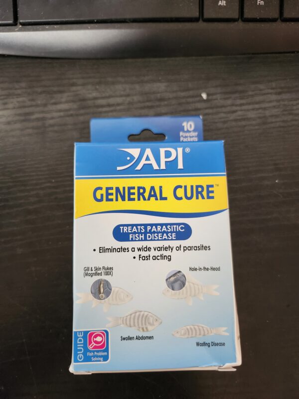 API GENERAL CURE Freshwater and Saltwater Fish Powder Medication 10-Count Box | EZ Auction