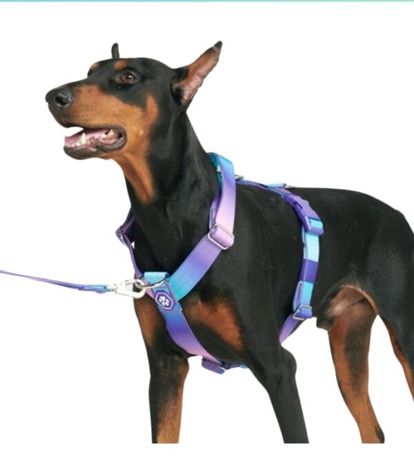 Spark Paws No-Pull Dog Harness - Designed for Safety and Control, Ideal for Large, Strong Breeds - Pitbulls, Boxers - 90s Retro – S | EZ Auction