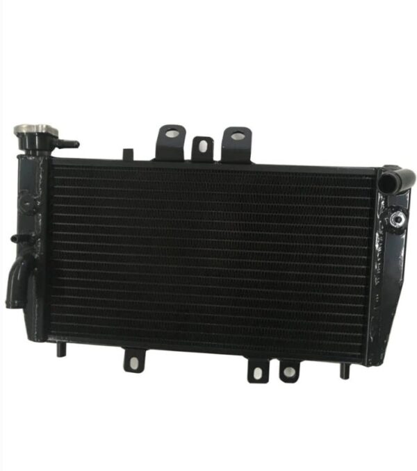 Aluminum Radiator Replacement fit for Triumph Speed Triple 955I 2002 Black | EZ Auction