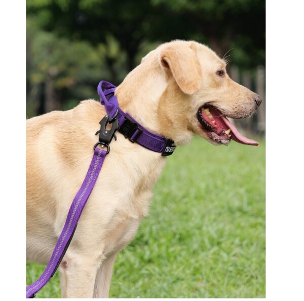 *** SIZE G *** Dog Collar with Handle, Heavy Duty Military Dog Collar with 2 Patches for Training, Adjustable Tactical Collars for Large Dogs, Purple, L | EZ Auction