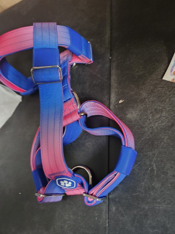 SIZE M* No-Pull Dog Harness - Designed for Safety and Control, Ideal for Large, Strong Breeds - Pitbulls, Boxers - Snow Cone - M | EZ Auction