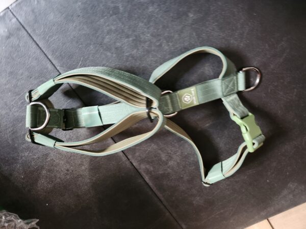 SIZE L* Spark Paws No-Pull Dog Harness - Designed for Safety and Control, Ideal for Large, Strong Breeds - Pitbulls, Boxers - Solid Green – L | EZ Auction