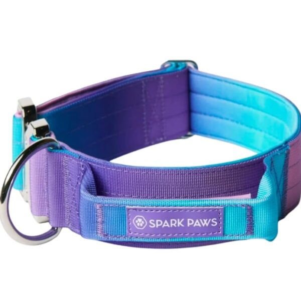 Spark Paws Tactical Dog Collar - Premium Quality Collar, Robust and Durable Design for Large, Strong Breeds - Pitbulls, Boxers - 90s RETR - L - 1.5" | EZ Auction