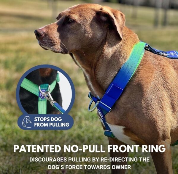 SIZE M* Spark Paws No-Pull Dog Harness - Designed for Safety and Control, Ideal for Large, Strong Breeds - Pitbulls, Boxers - Lime Wave - M | EZ Auction