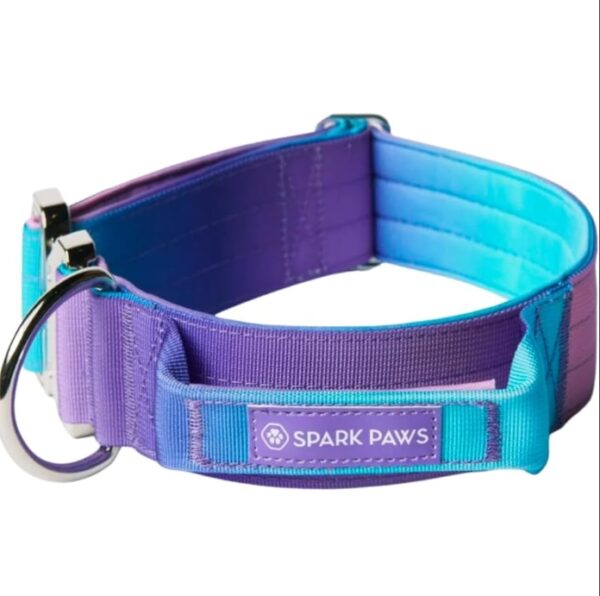 Spark Paws Tactical Dog Collar - Premium Quality Collar, Robust and Durable Design for Large, Strong Breeds - Pitbulls, Boxers - 90s Retro - M | EZ Auction