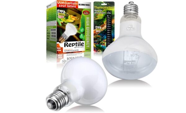 Reptile Heat Lamp 15W 2 Pack,UVA Basking Spot Heat Lamp Bulbs,Natural Daylight Heating Light for Bearded Dragon, Turtle,Lizard,Chicken Brooder,Reptile with Digital Temperature Thermometer | EZ Auction