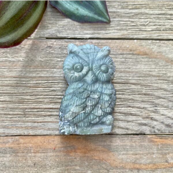 Labradorite Owl - Protection + Intuition | EZ Auction