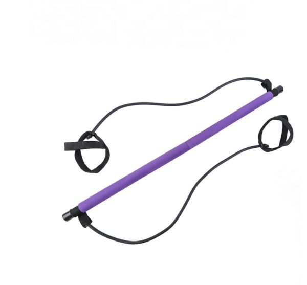 Stretched Fusion Pilates Bar, Pilates Stretched Fusion Bar, Stretchedfusion Multi-functional Pilates Bar, Pilates Stretched Fusion Bar, Multifunctional Pilates Bar Stretched Fusion for Home-Purple | EZ Auction