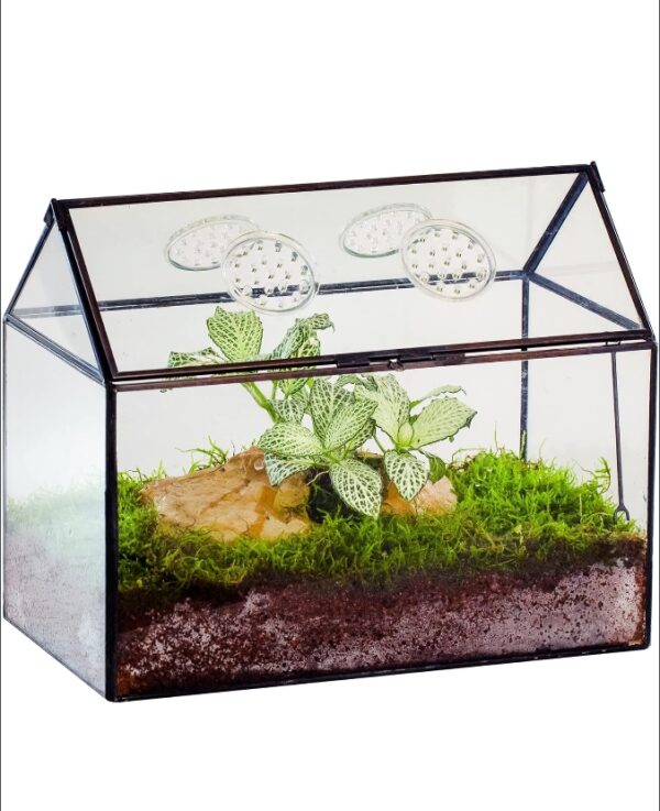 NCYP Glass Terrarium with Lid and Air Holes for Snails - 10.2" x 5.9" x 8.2" - Black House Shape Geometric Terrarium Box for Succulents Plants - Tabletop Decor (Terrarium Only) | EZ Auction