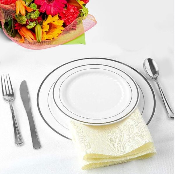 500 Pieces Plastic China Plate Silverware Combo for 100 people WHITE with SILVER Reflection Masterpiece Like | EZ Auction