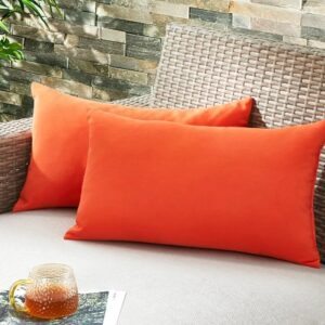 puredown® Outdoor Water Resistant Throw Pillows, Feathers and Down Filled Decorative Pillows for Couch Cushion Garden Bench 8 x 16 Inch, Set of 2, Orange