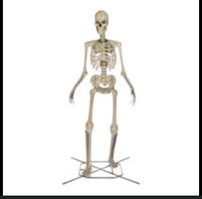 Home Accents 12 ft. Giant-Sized Skeleton with LifeEyes - EZ Auction