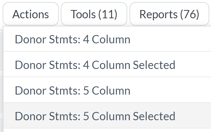The Donor Statements 5-column report for selected Donors, as Donor Stmts: 5 Column Selected, in the Reports drop-down list.