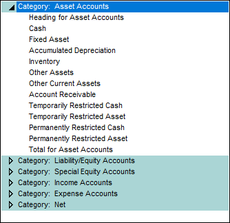 List of account type categories, including asset accounts, liability/equity accounts, special equity accounts, income accounts, expense accounts, and net